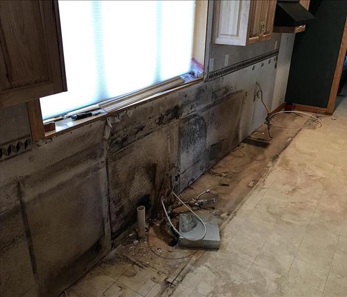 Wall with cabinets ripped out covered in dark spots.