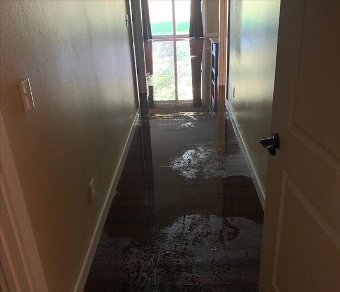 Wet floor hallway
