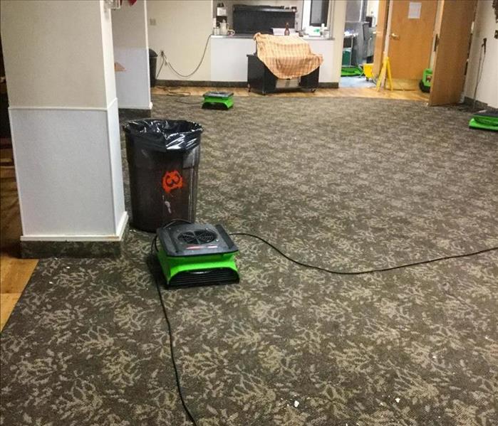 Green air movers on the floor of a carpeted room.